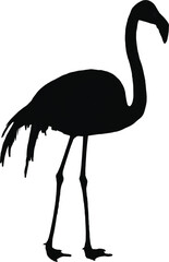 Black Flamingo Silhouette Images 