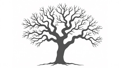 Fototapeta premium Grey Leafless Tree Silhouette on White Background