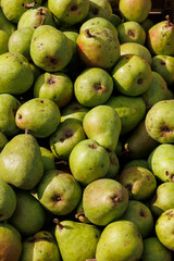 Apples and pears are for sale in wooden crates at the potato and apple market in Bächingen