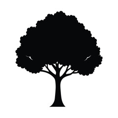 Fototapeta premium classic big tree silhouette vector timeless and c