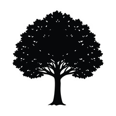 Fototapeta premium detailed big tree silhouette vector dynamic shape