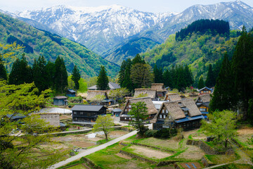 Traditional thatched-roof houses of Ainokura Village in Gokayama, Toyama, surrounded by lush...
