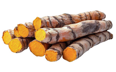 turmeric roots - fresh turmeric rhizomes isolated on white background