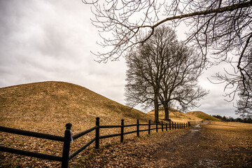 serene landscape with dirt path and wooden fence on a cloudy day.