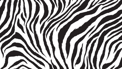 Seamless Zebra Pattern Design &ndash; Vector Illustration, Zebra skin close-up texture flat lay background, Abstract Seamless Zebra Skin Pattern Background
