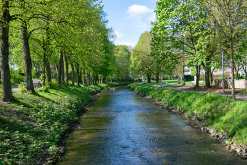 A beautiful view of the park