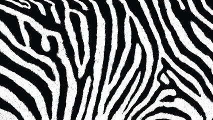 Zebra Stripes Pattern. Zebra print, animal skin, Abstract grunge texture effect, scratch and dust particle grain on white background.