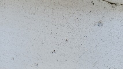 concrete wall texture