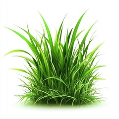 Vibrant Green Grass Tuft on White Background Lush Spring Meadow Nature Illustration
