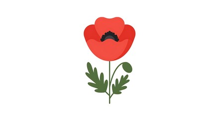 Obraz premium Minimalist Red Poppy Flower Stands Tall: Simple Style, Vector Design, Remembrance Symbol on Plain White Backdrop, Poignant Mood, Memorial, Artistic Still Life