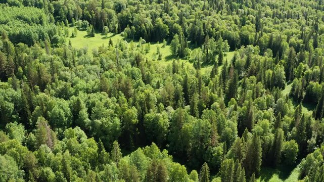 Southern Urals, Zyuratkul National Park: mountain taiga. Aerial view.