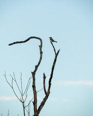 Tortuguero. Vega Baja, Puerto Rico