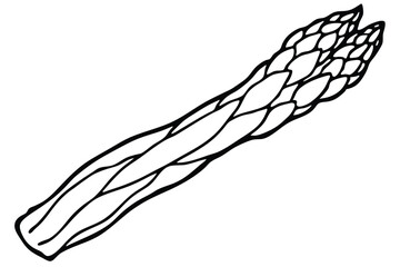 Asparagus Vector Illustration on White Background

