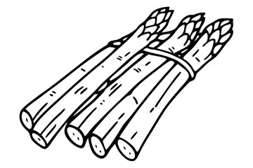 Bamboo Shoots Vector Illustration on White Background

