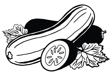 Bottle Gourd Vegetable Vector Illustration on White Background

