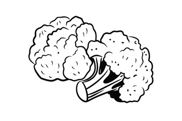 Cauliflower Vegetable Vector Illustration on White Background

