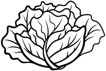 Collard Greens Vegetable Vector Illustration Isolated on White Background

