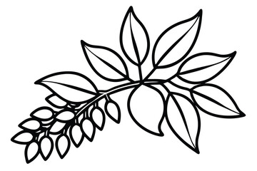 Curry Leaves Vegetable Vector Illustration Isolated on White Background

