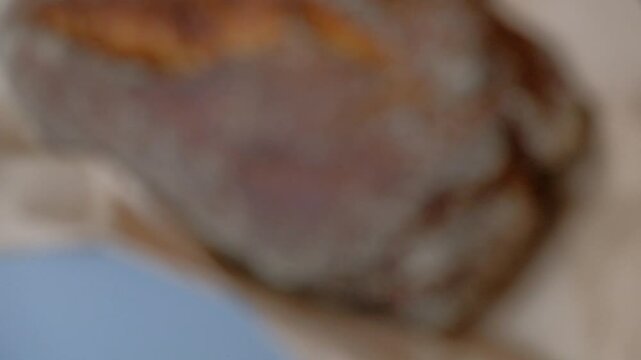 chicken on a white background macro