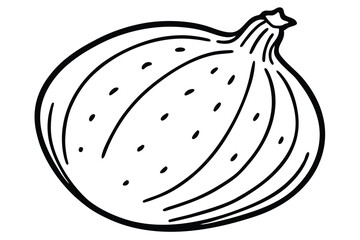 Jicama Vegetable Vector Illustration Isolated on White Background

