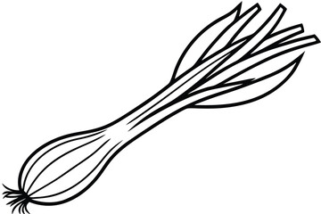 Lemongrass Sprouts Vegetable Vector Illustration Isolated on White Background

