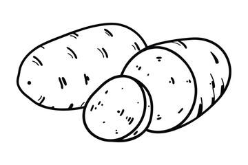 New Potato Vegetable Vector Illustration Isolated on White Background


