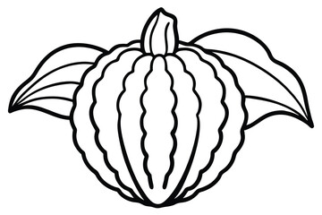 Oca Vegetable Vector Illustration Isolated on White Background

