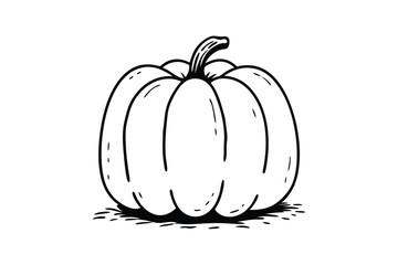 Pumpkin Vegetable Vector Illustration Isolated on White Background

