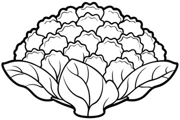 Romanesco Vegetable Vector Illustration Isolated on White Background

