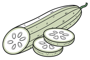 Sponge Gourd Vegetable Vector Illustration Isolated on White Background

