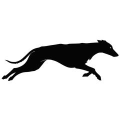 Fototapeta premium Running Greyhound Dog Silhouette Illustration on White Background