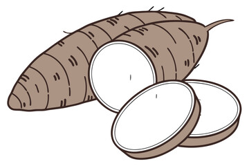 Taro Vegetable Vector Illustration Isolated on White Background

