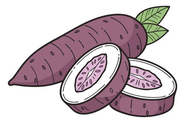 Ube Vegetable Vector Illustration Isolated on White Background

