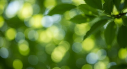 Fototapeta premium Green Leaves Bokeh Creates Natural Background Texture