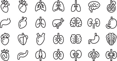 Human Organs Line Icons Collection Isolated on White
