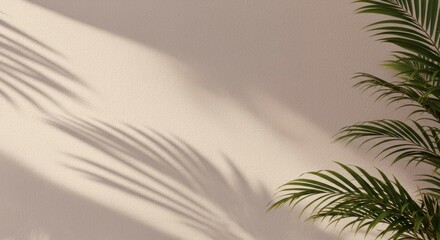 Palm Branch Shadow on Wall with Green Plant Accent