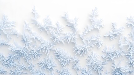 Frost Patterns: Intricate frost patterns spreading across a white background, with delicate ice crystals forming unique shapes.
