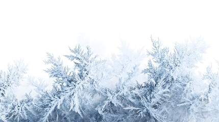 Frost Patterns: Intricate frost patterns spreading across a white background, with delicate ice crystals forming unique shapes.
