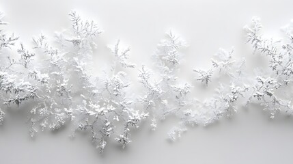 Obraz premium Frost Patterns: Intricate frost patterns spreading across a white background, with delicate ice crystals forming unique shapes. 