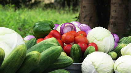 Fresh vegetables displayed in a village market