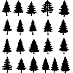 Obraz premium Silhouette Forest: A Collection of Evergreen Trees AI Generated