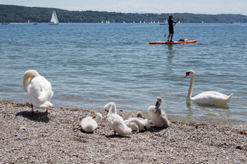 Lake Starnberger See in Bavaria, Germany