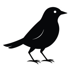 Obraz premium Silhouette-of-a-oriole-bird-and-two-leg-silhouette 