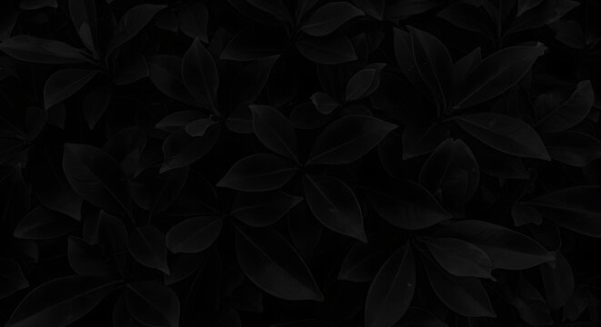 Dark Green Leaves Texture Background Perfect for Design Projects
