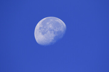 Footage of full moon in daytime blue sky.