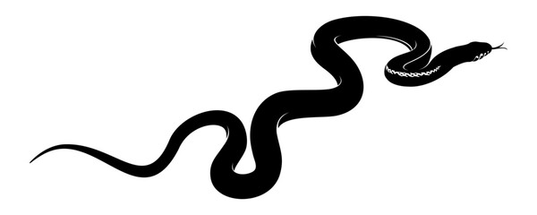 Obraz premium snake vector illustration on white background 3