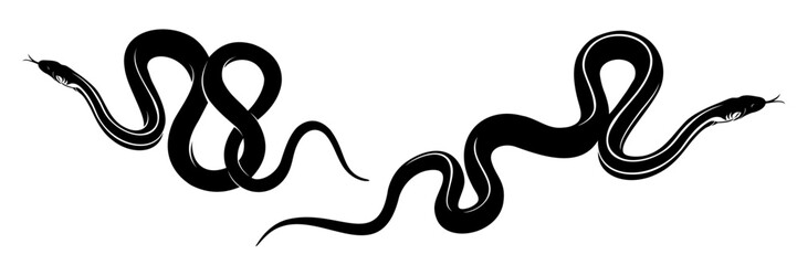 snake vector illustration on white background 6