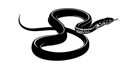 snake vector illustration on white background