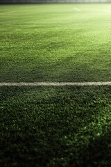 Artificial turf field