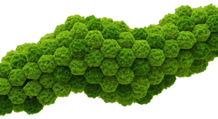 Green virus or bacteria macro structure isolated on white background